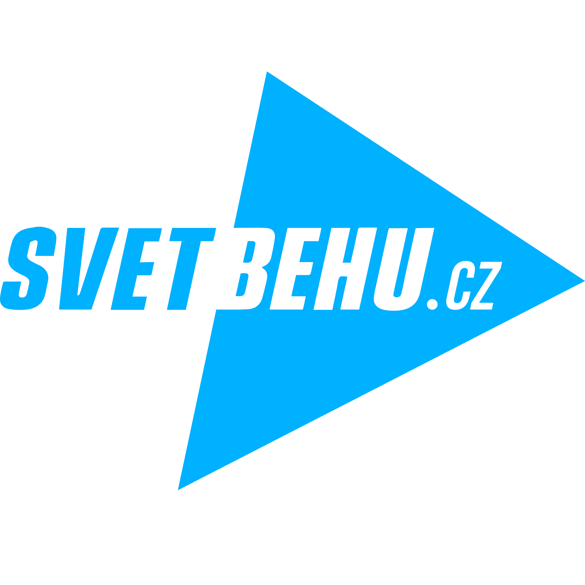 logo_svet_behu.png